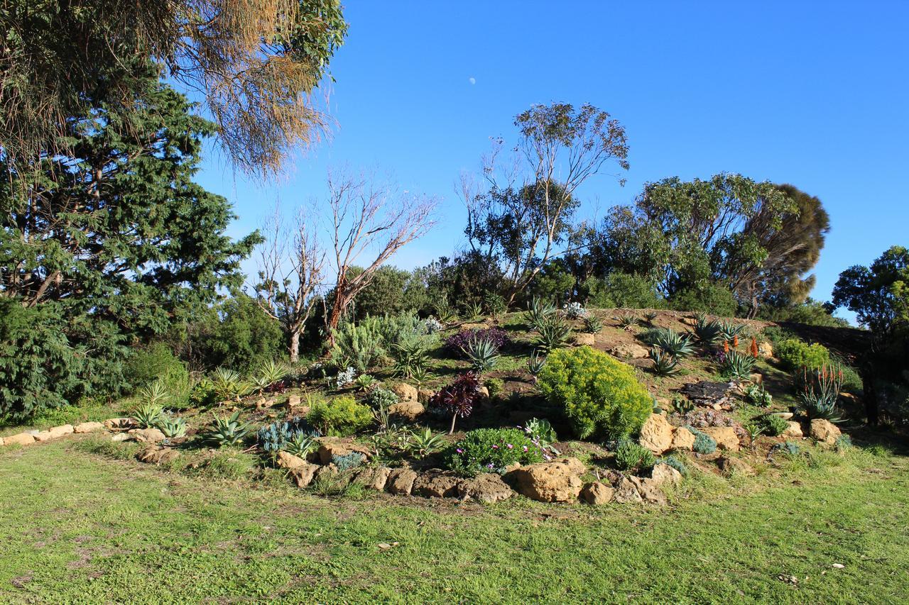 Clifton Beach Lodge Port Campbell Εξωτερικό φωτογραφία
