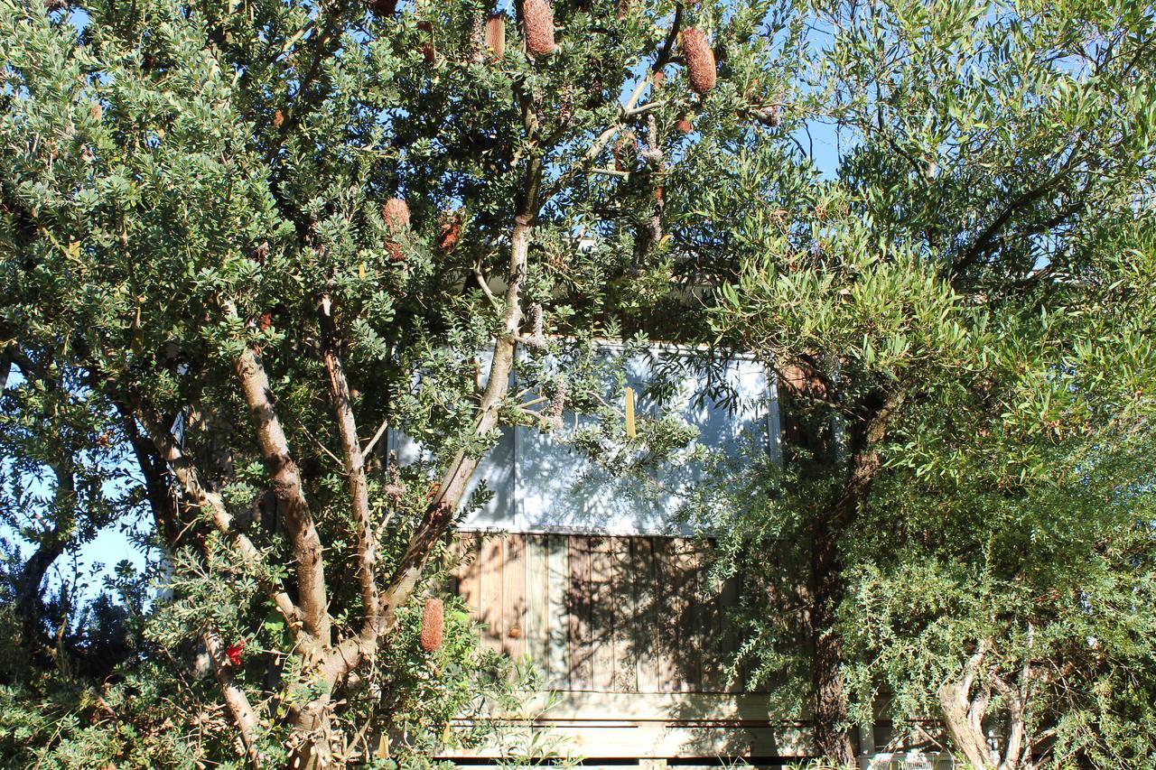Clifton Beach Lodge Port Campbell Εξωτερικό φωτογραφία